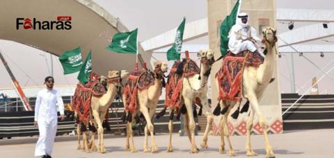 موعد مهرجان الملك عبدالعزيز للإبل 1445