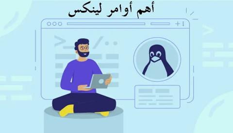 شرح جميع الأوامر الأساسية في linux، أهم أوامر لينكس