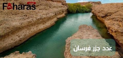 عدد جزر فرسان؛ خليج مائي وصخور بنية