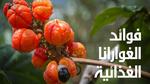 فوائد الغوارانا الغذائية والصحية