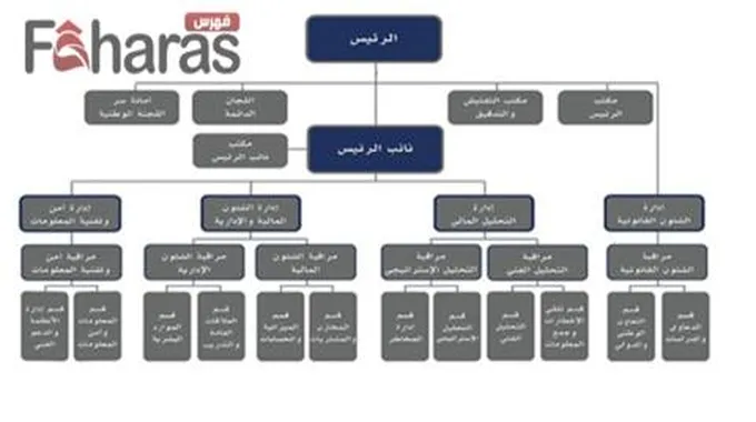 وحدة التحريات المالية الكويتية؛ الهيكل التنظيمي