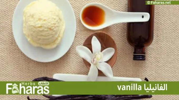 الفانيليا Vanilla؛ تعرف على أهم استخداماتها