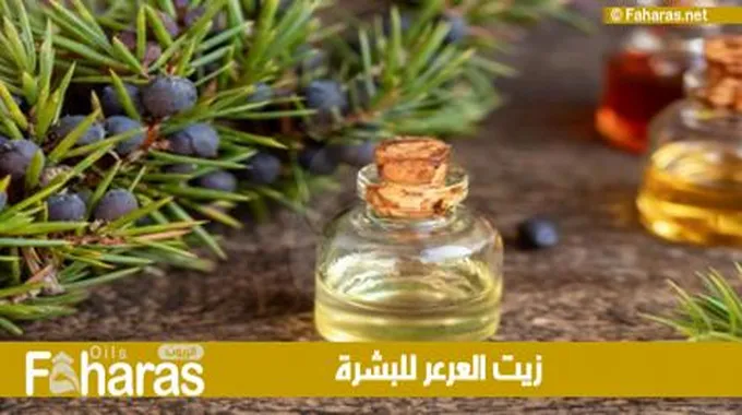 زيت العرعر للبشرة؛ تعرف معنا على فوائده وأضراره