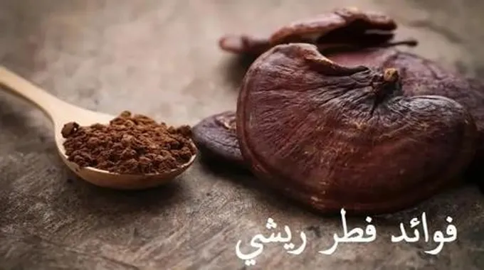 فطر ريشي،؛ أهم 11 فوائد صحية لملك الفطر وأشكاله