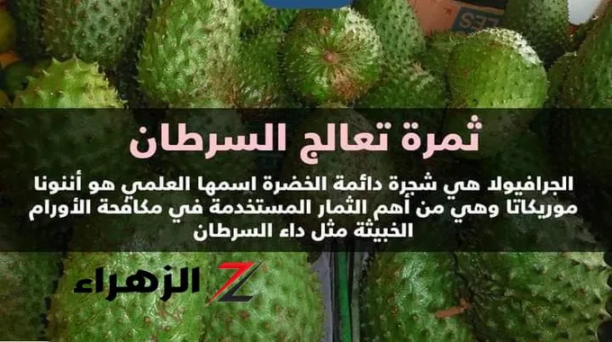 فوائد الجرافيولا الغذائية والصحية